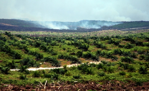 Fires associated with clearing land for oil palm plantations in the Indonesian province of Riau release massive amounts of carbon into the atmosphere and spread health-harming haze across the landscape. Credit: climatecentral.org/Wakx/flickr