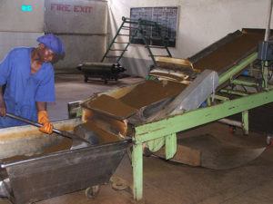 a-worker-shovels-tea