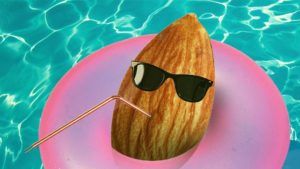 almond-nut