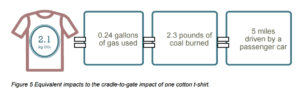 cotton-pic