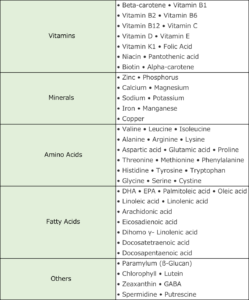 euglena_2