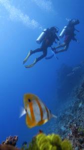 f-img_1816