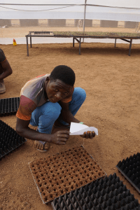 Greenhouse demonstration farm