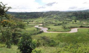 kayonza