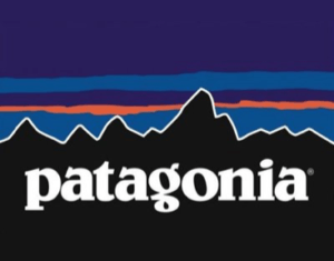 patagonialogo