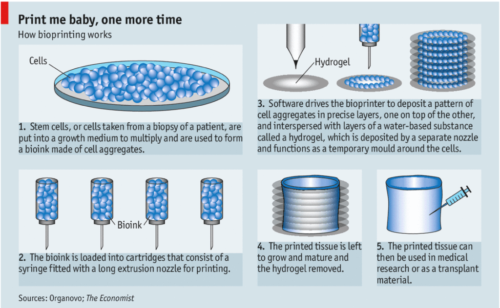 Organovo's process step-by-step