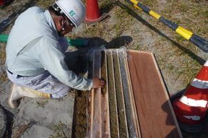 soil-sample
