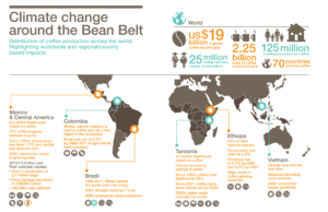 bean-belt