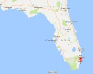 florida-zoom