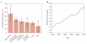 Ruminants are responsible for more greenhouse gas emissions than natural case and coal. Number of ruminants continue to grow. Ripple et. al, “Ruminants, climate change and climate policy,” Nature Climate Change. January 2014, vol 4.