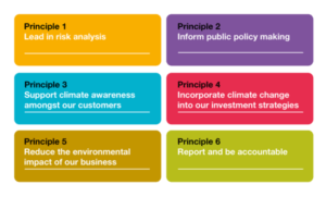 principles
