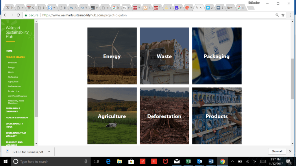 Project Gigaton Platform 
