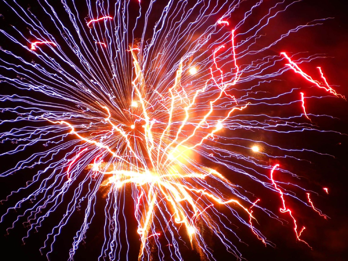 Fireworks in the night sky