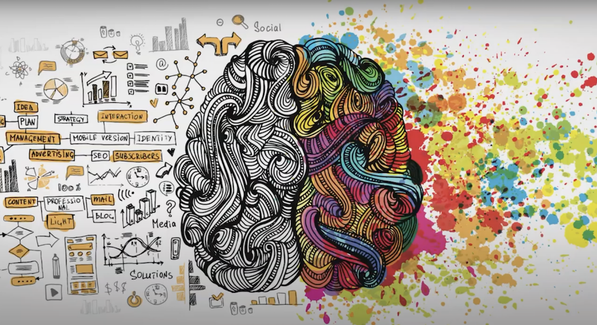 Brain