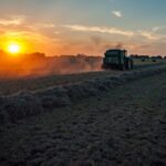 harvesting a crop