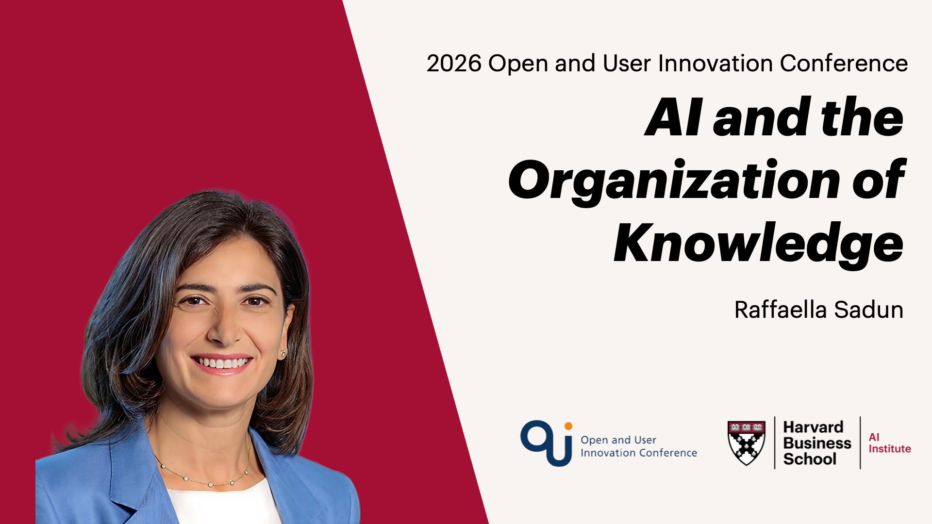 AI and the Organization of Knowledge cover